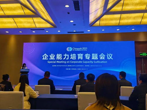 中科大旗榮膺成都市軟件和信息技術(shù)服務(wù)企業(yè)能力成熟度三級證書，彰顯卓越技術(shù)服務(wù)實力