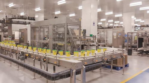 聯(lián)合利華廣州食品工廠投產(chǎn) 技術(shù)驅(qū)動全品類食品智能制造新標(biāo)桿